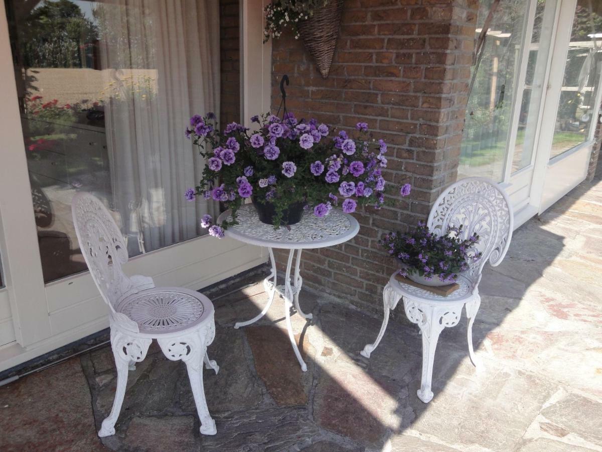 Bed and Breakfast Riethove Harlingen Esterno foto