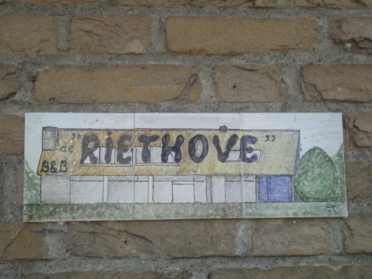Bed and Breakfast Riethove Harlingen Esterno foto